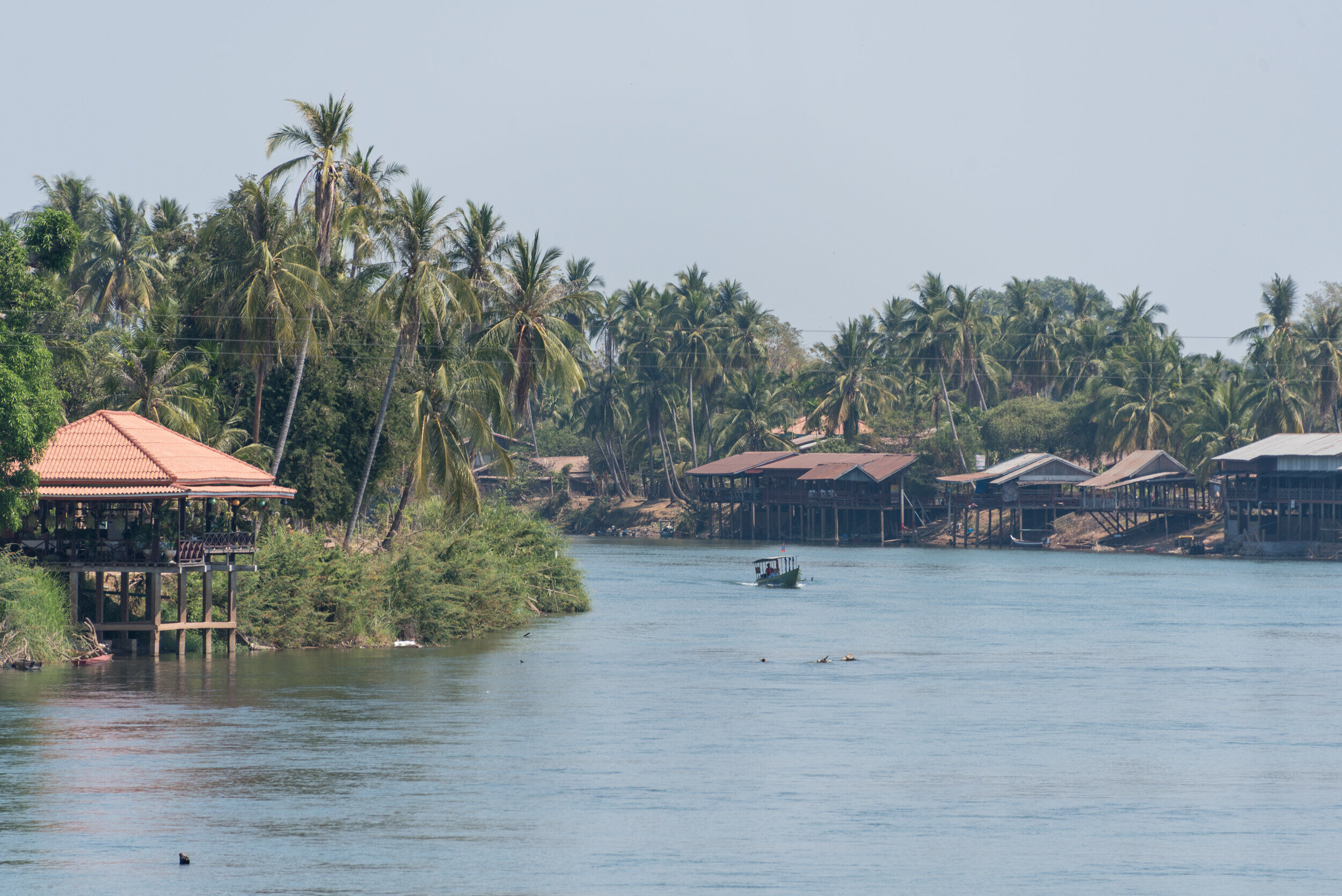 Capture the authentic charm of Don Khong’s cultural scene